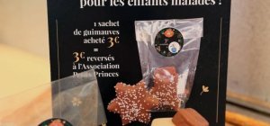 Les Compagnons du Goût mobilisés pour Petits Princes