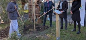 Un arbre pour la laïcité