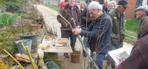 Jardin : une séance pour apprendre à tailler