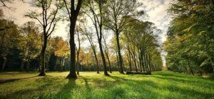 Une semaine pour (re)découvrir la forêt, ses trésors et ses métiers