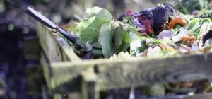 Tous au compost : Limoges Métropole anime deux stands