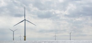 L'industrie verte résiste à la crise (Supplément bio / transition écologique)