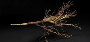 Des chemins à parcourir en silence