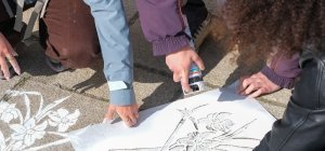 Des plantes sauvages exposées dans les jardins de l'Évêché