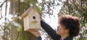 Aider la faune sauvage au jardin grâce aux bons accessoires (pages spéciales été)