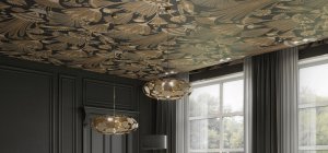 Quand le plafond fait son show