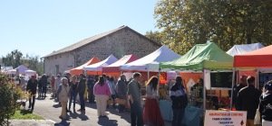 Des idées de sorties pour toutes les envies